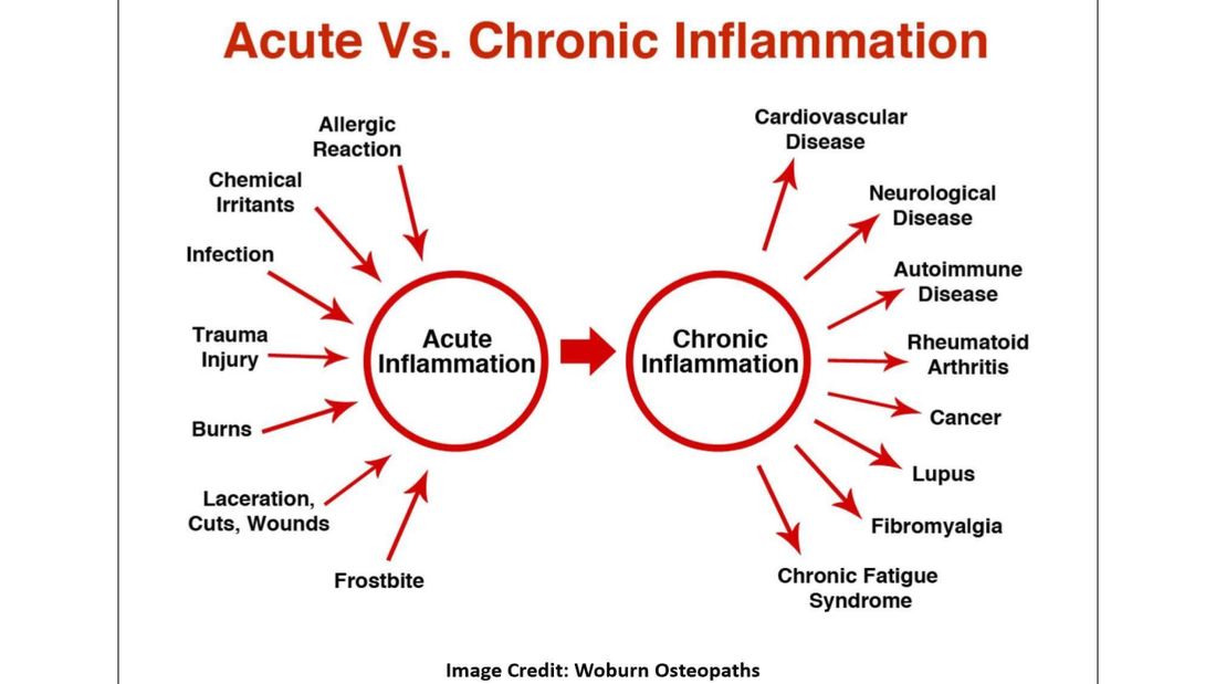 Cracking the Code on Inflammation: Lifestyle Changes That Worked